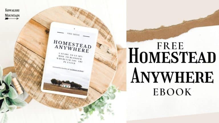 Introducing the Homestead Anywhere eBook