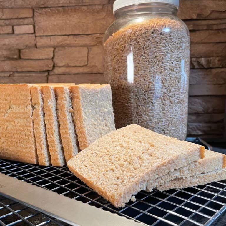 Making Grains Best Whole Grains for Milling: How to Make Freshly Ground Flour at Home ...