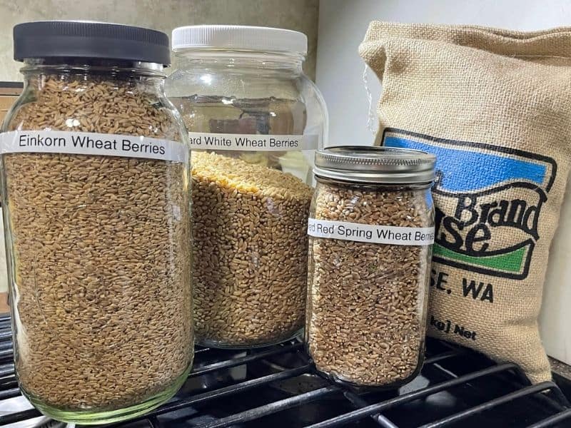 glass jars with different kinds of  wheat berries