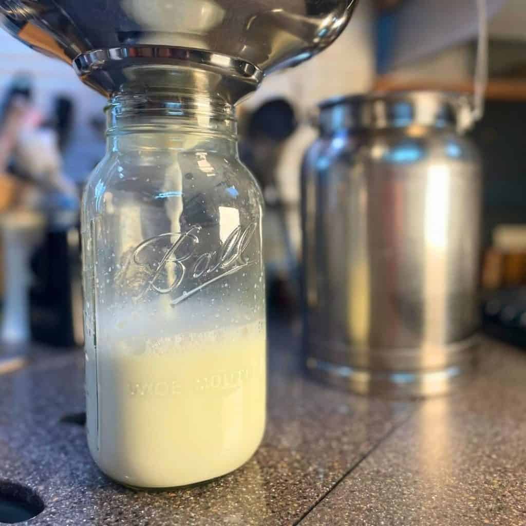 milk pail and milk being strained into a jar