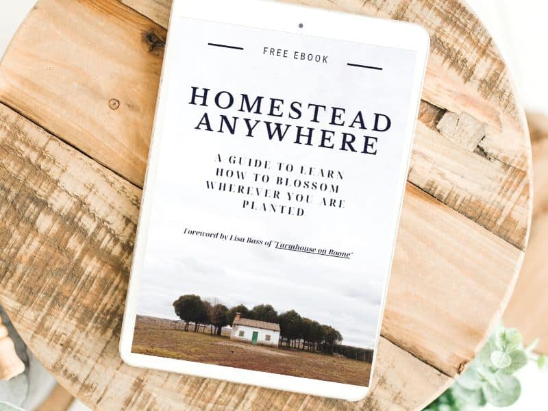 homestead anywhere ebook