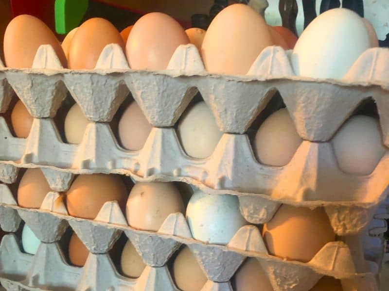 stacks of fresh eggs on the counter