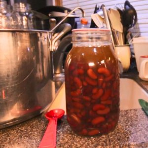 kidney beans