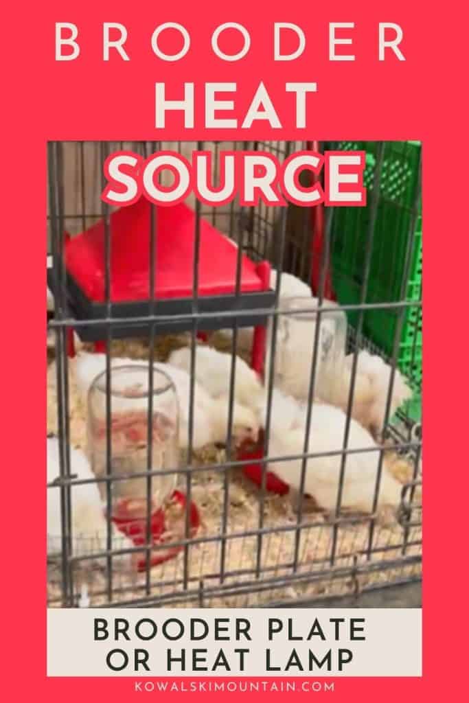 Brooder or heat lamp pin