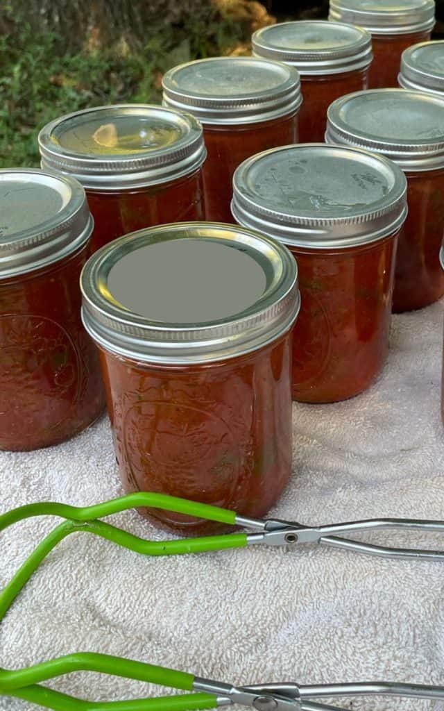 homemade canned salsa