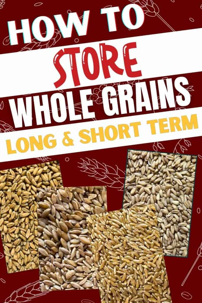 Pinterest pin with different types of grains