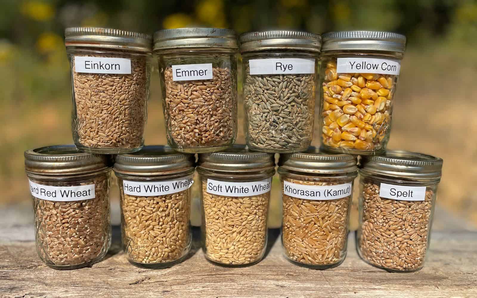 Making Grains Best Whole Grains for Milling: How to Make Freshly Ground Flour at Home ...