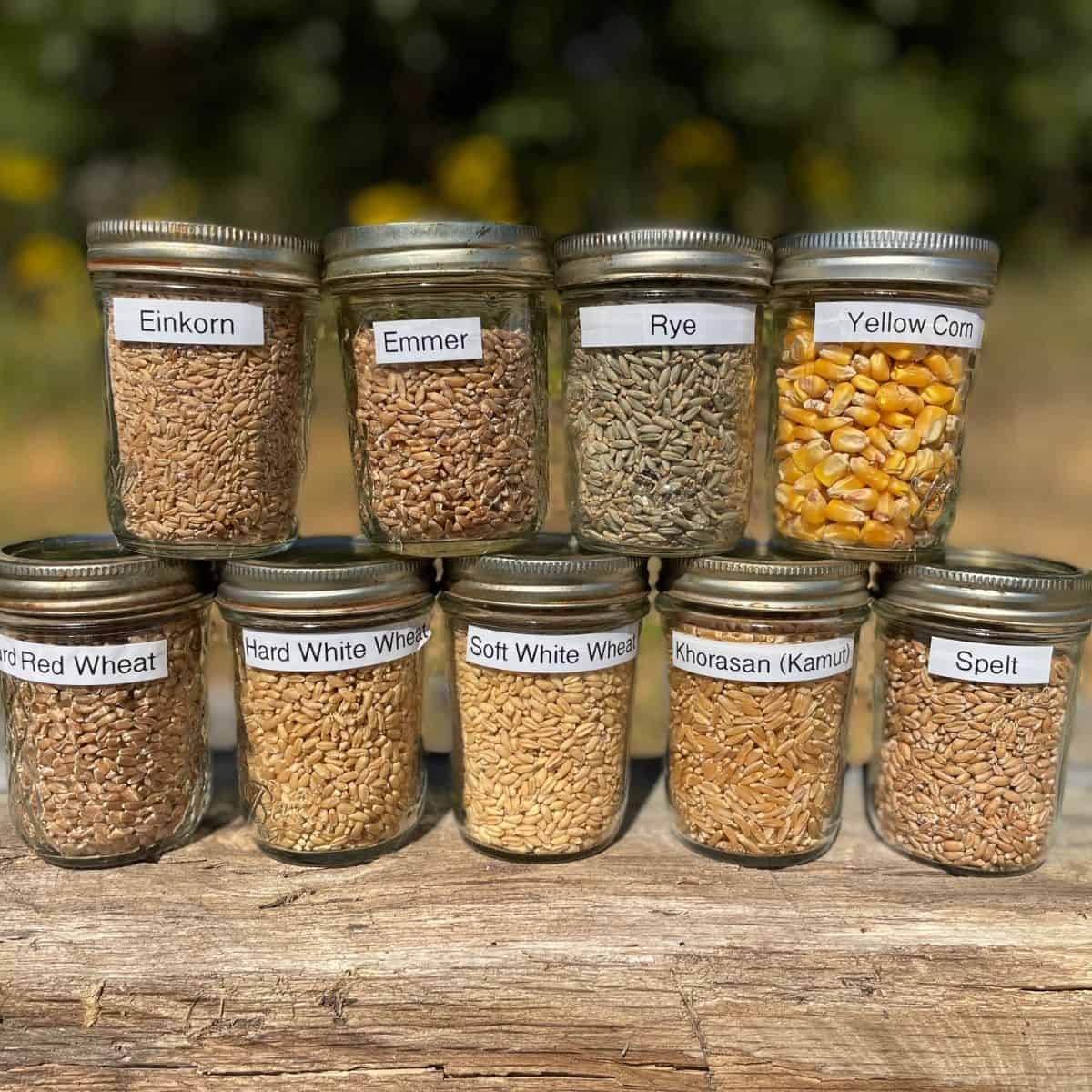 a variety of whole grains