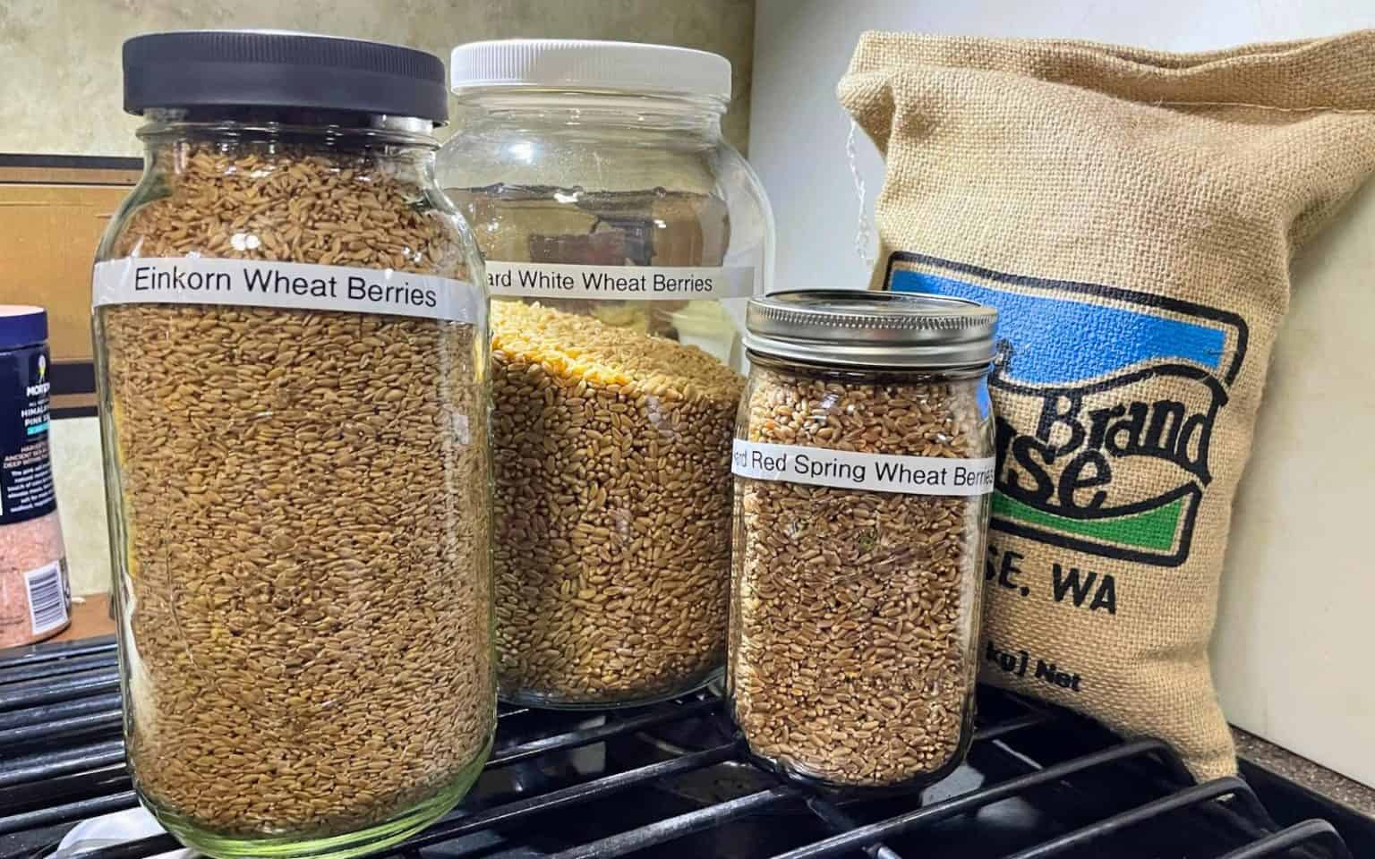 Making Grains Best Whole Grains for Milling: How to Make Freshly Ground Flour at Home ...