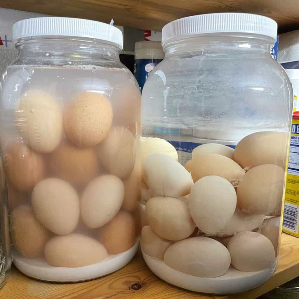 eggs preserved in lime solution