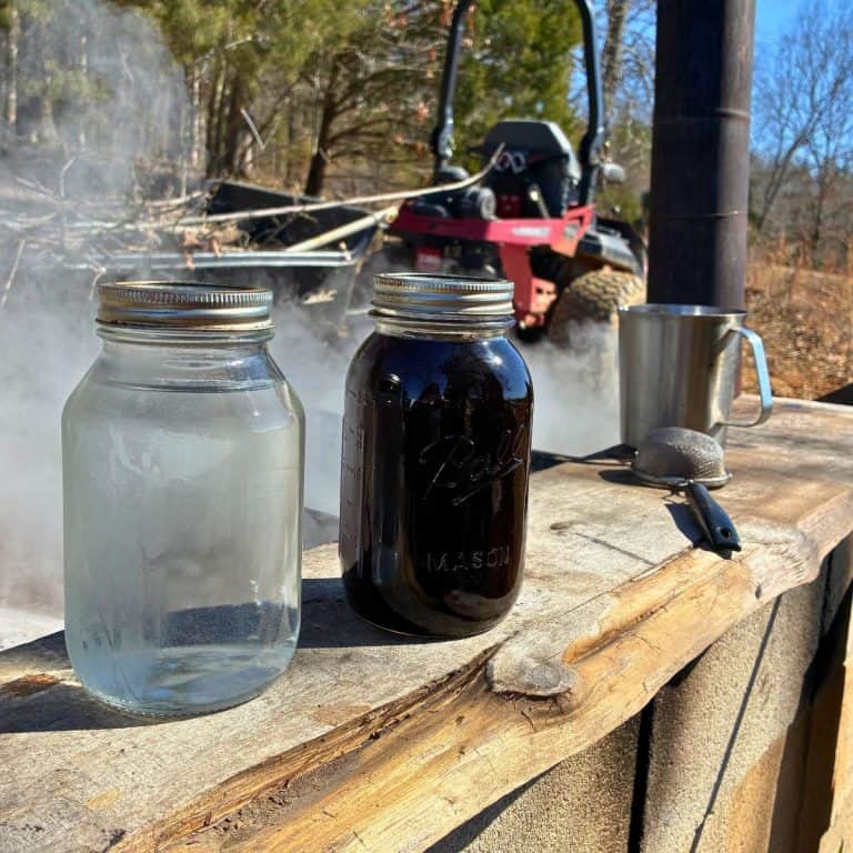 maple jars near the evaporator