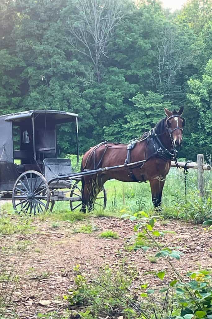 Amish buggy parked at the hitching post