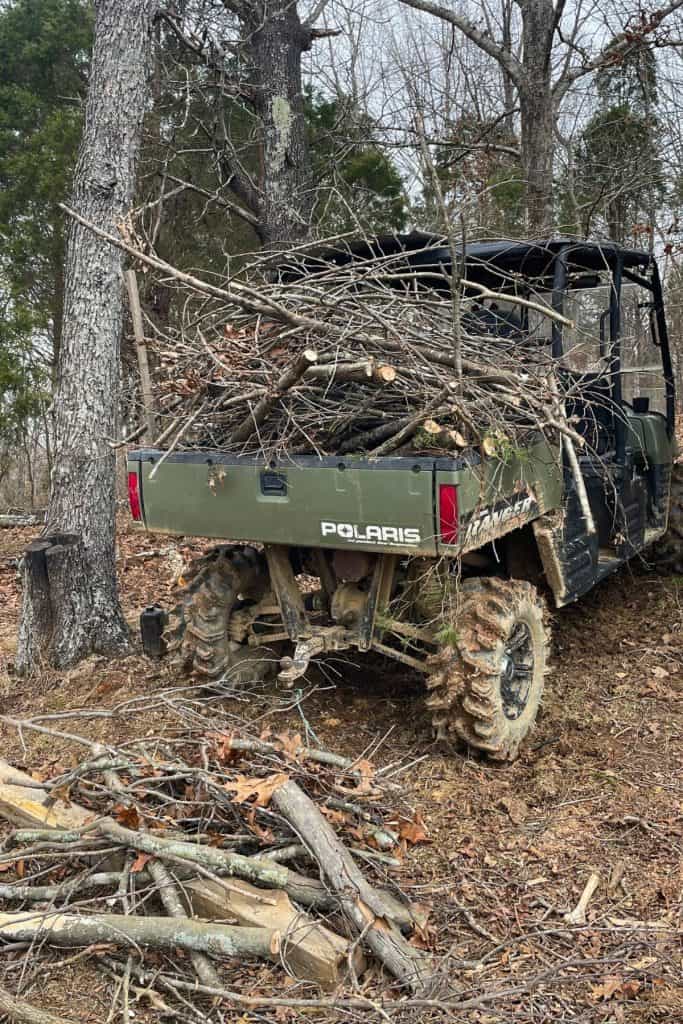 collected brush for making maple syrup