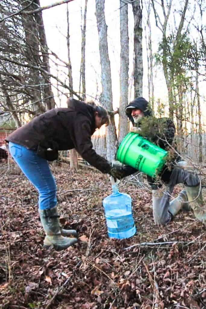 Philip and Barbra-Sue collectung sap
