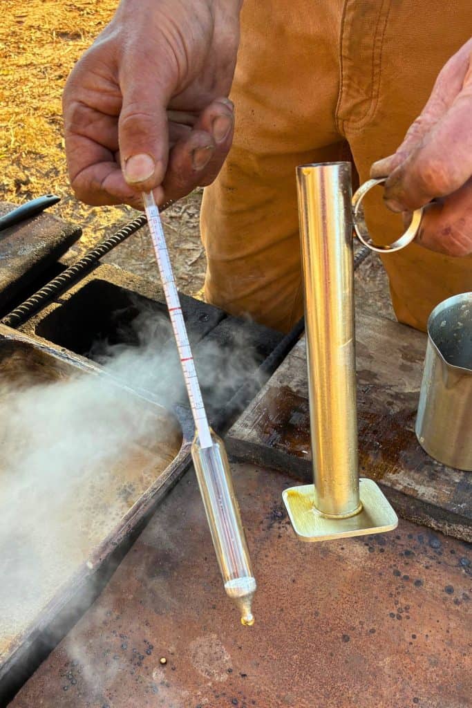 hydrometer and beaker