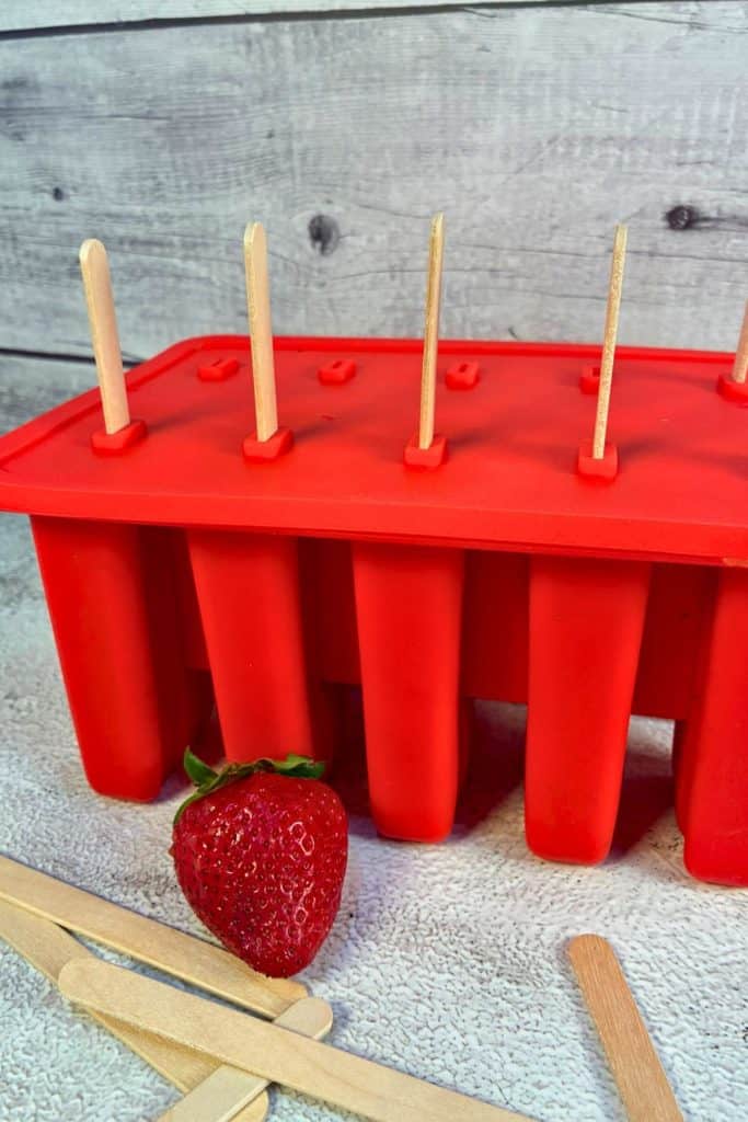 popsicle mold using wooden sticks