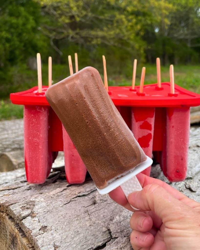 a chocoloate pudding pop