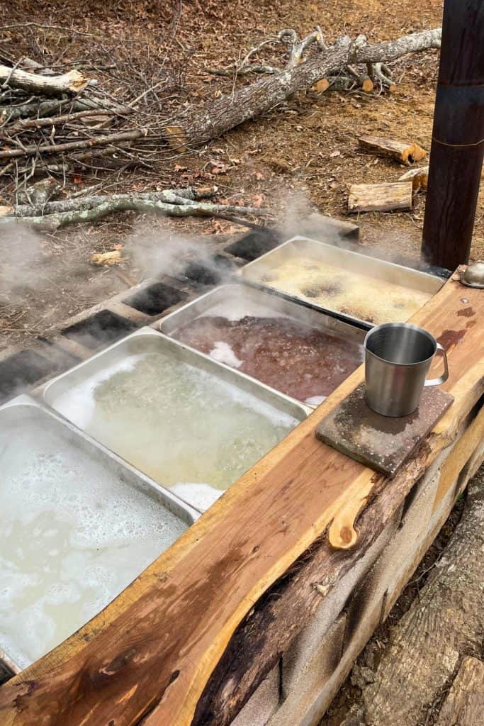 progression of sap in the 4 pan system