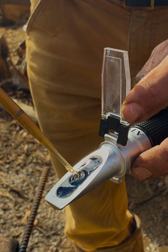 putting syrup on a refractometer