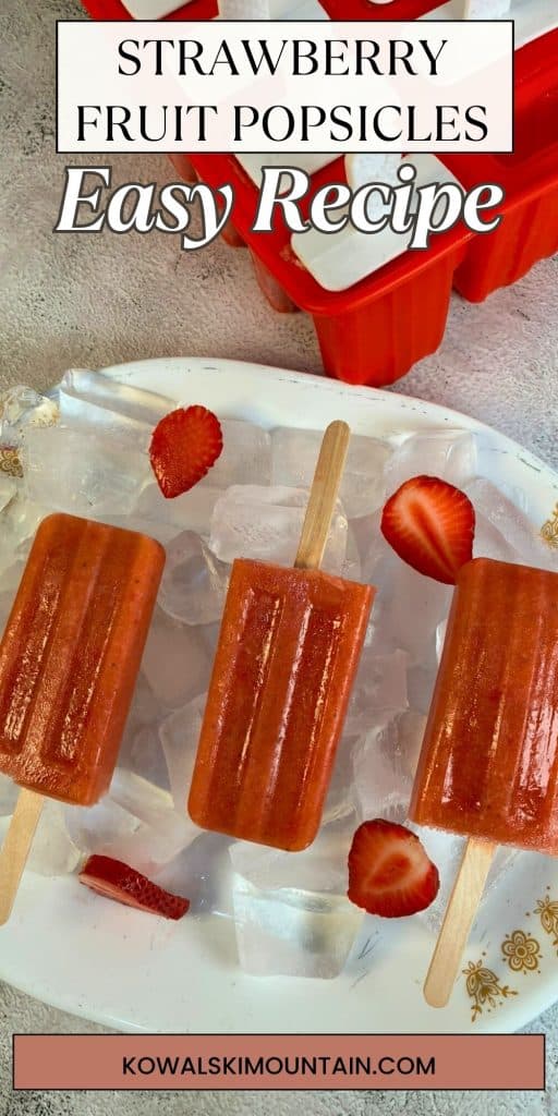 strawberry fruit popsicle pin