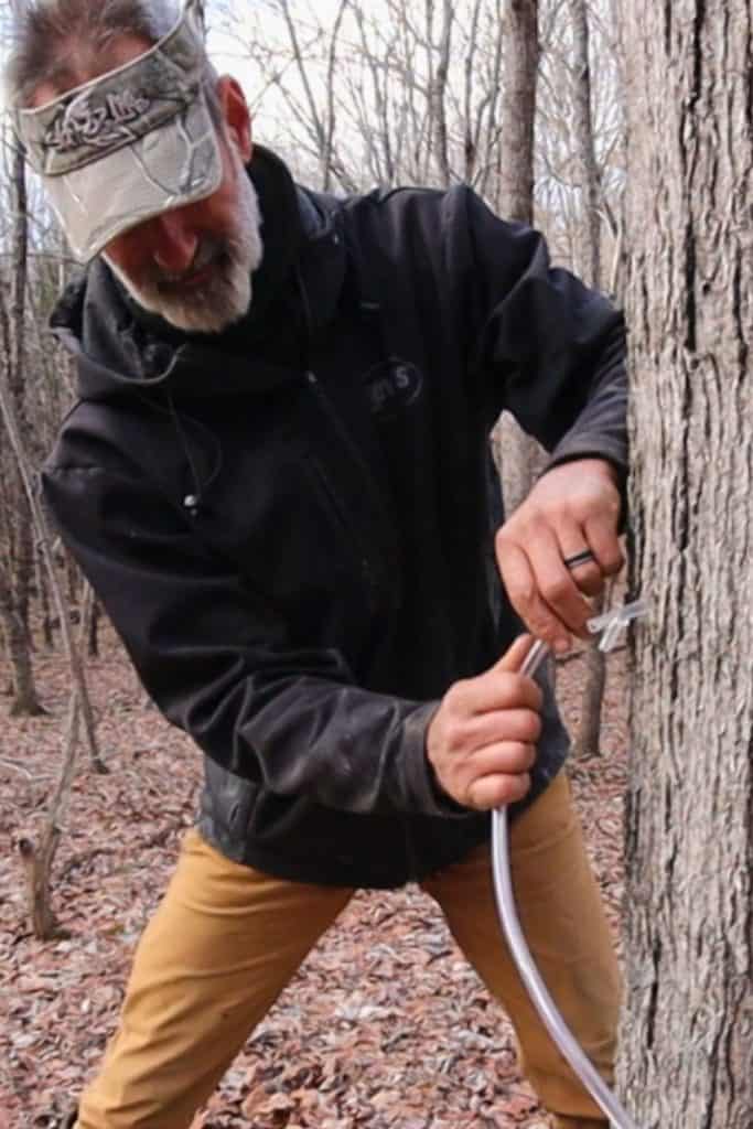 Philip tapping a maple tree