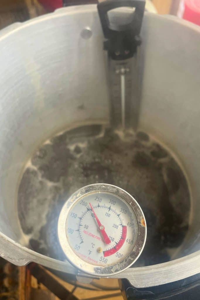 thermometer in maples sap