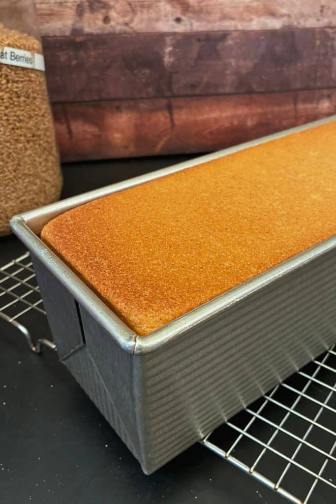 finished bread in pullman pan