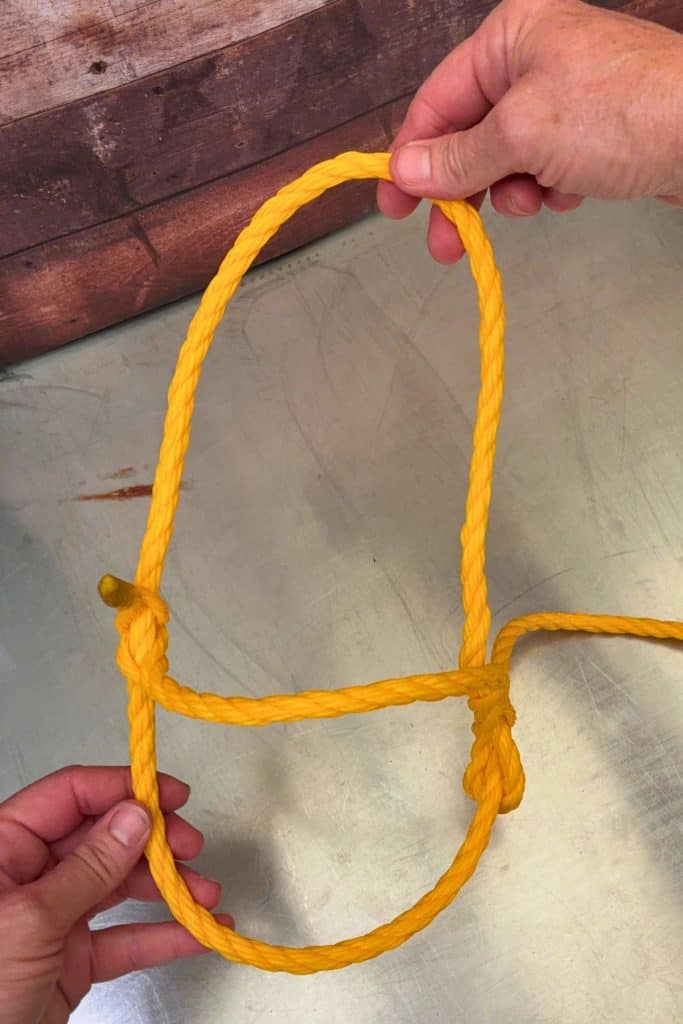 finished DIY Dexter calf halter