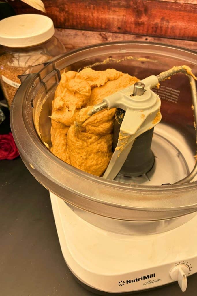 kneaded dough in mixer