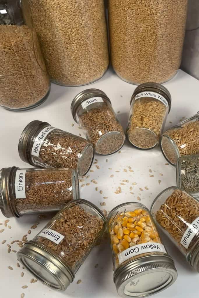 types of grains in jars