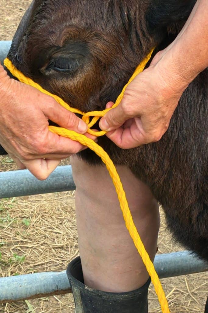 untwist rope to create a loop to secure