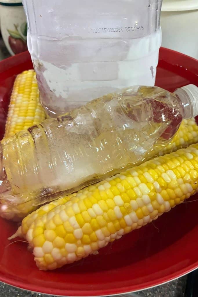 cool corn in ice water