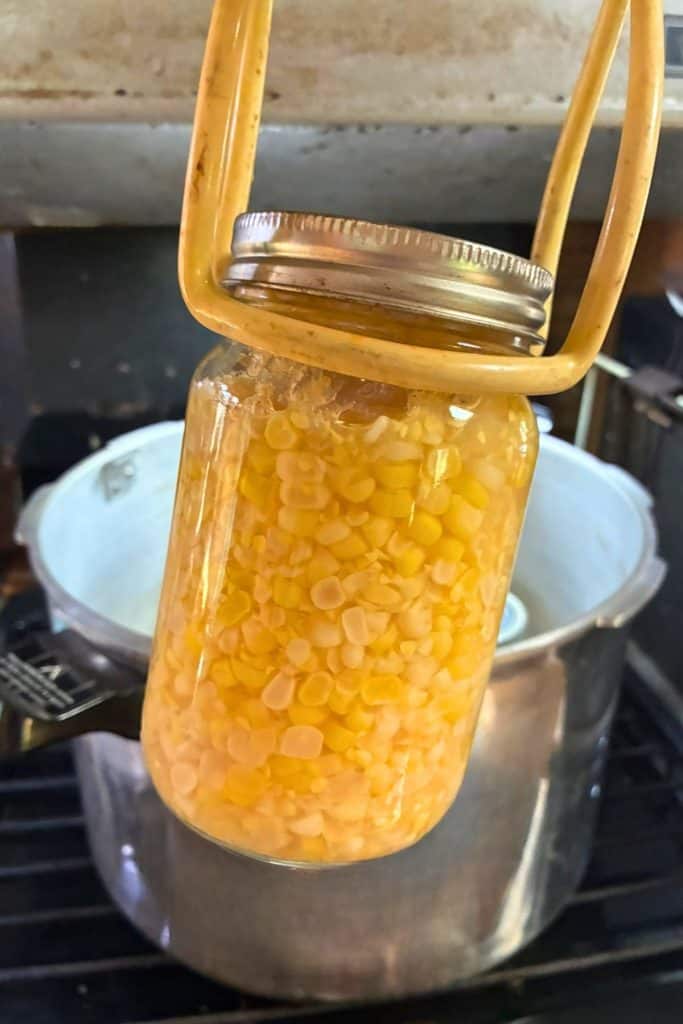 fresh sweet corn removed from the pressure canner