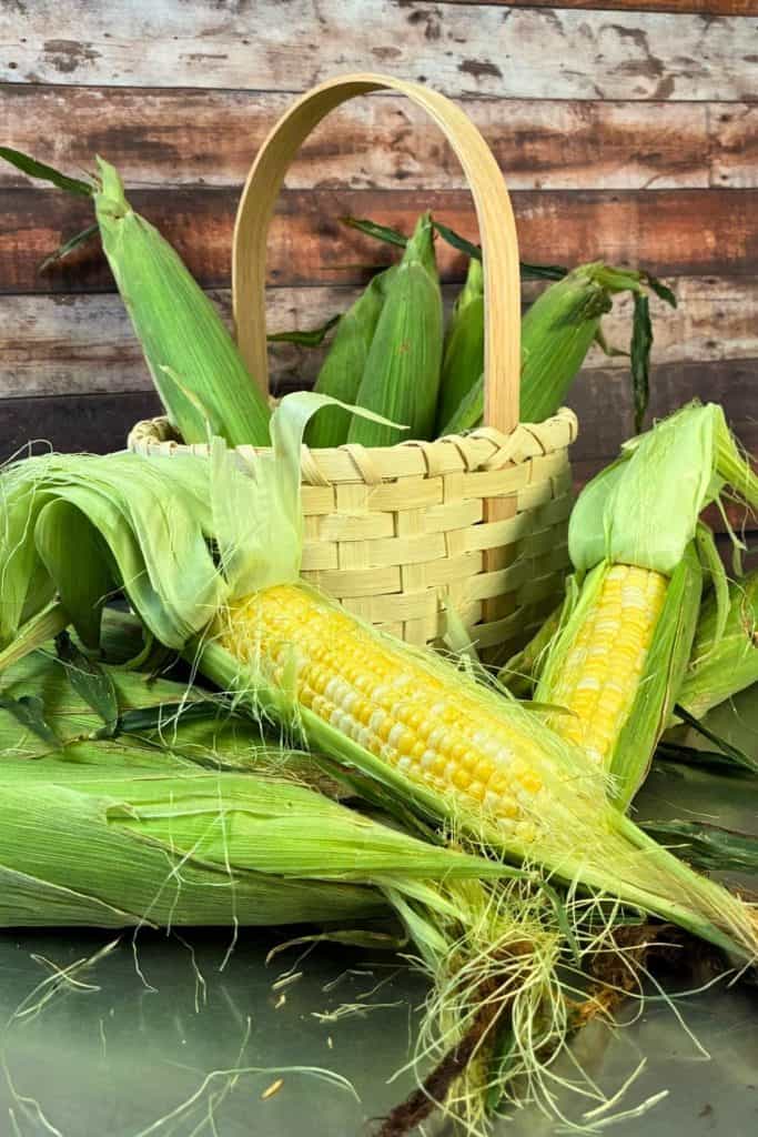 fresh sweet corn in a basket