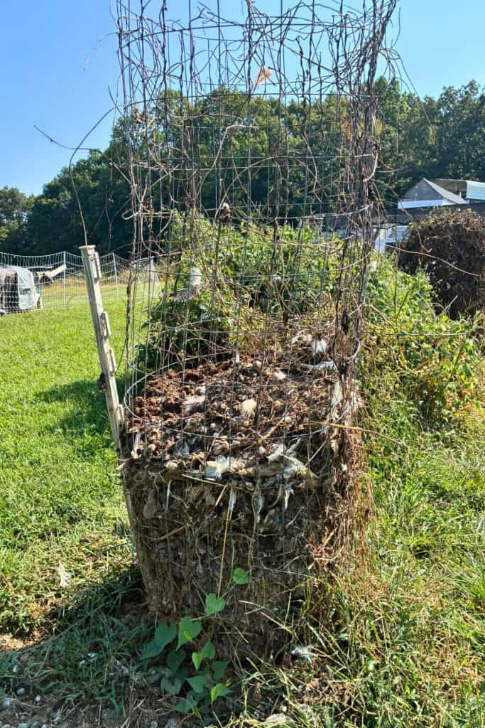 compost ring for chicken manure