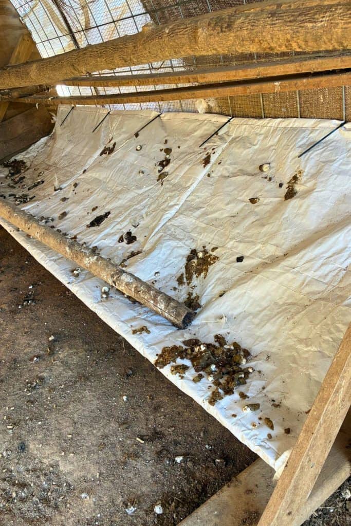 dirty poop hammock, my favorite style dropping board